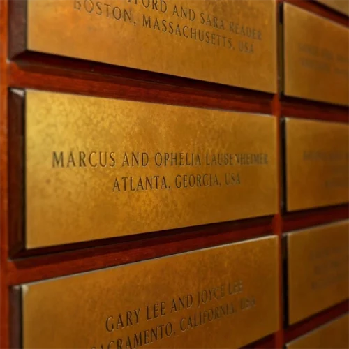 Plaques